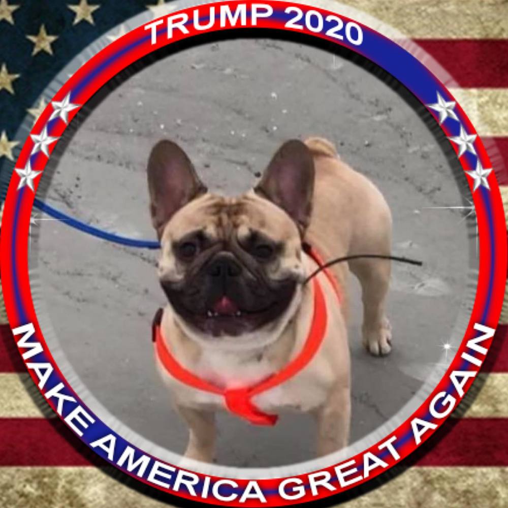 Meet your Posher, Wendy